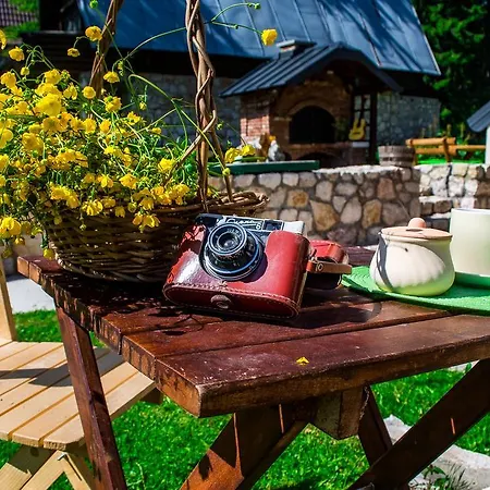 And Planinska Idila *