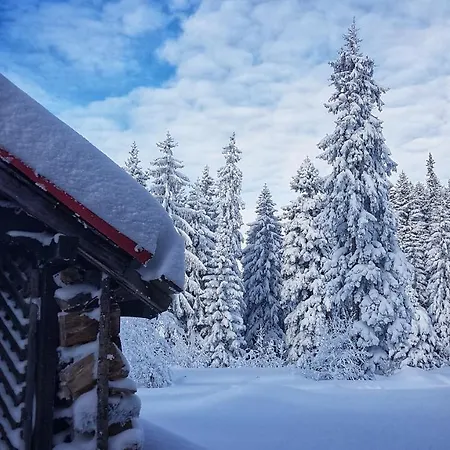 And Planinska Idila Jahorina
