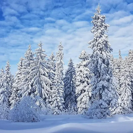 Apartments&rooms Planinska Idila