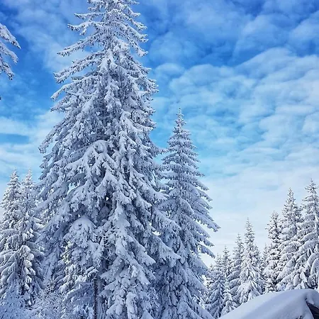 Lejlighed And Planinska Idila *